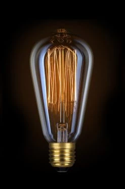 Ampoule à Filament Style Edison, 40W
