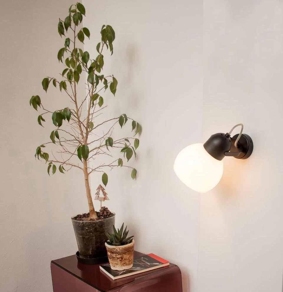 Boogie Spot Noir Et Blanc