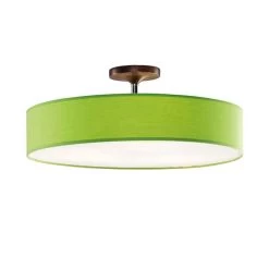 Disco Zen Plafonnier Vert